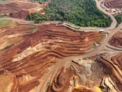 Kapolda Kalbar: Alasan Perut di Tambang Ilegal Itu Bohong