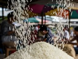 Indonesia Siap Ekspor 1 Juta Ton Beras Premium