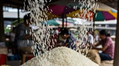 Ilustrasi - Pemerintah Indonesia melalui Perum Bulog menyatakan kesiapannya untuk mengekspor beras sebanyak 1 juta ton pada tahun 2026 ini. (Dok. Ist)