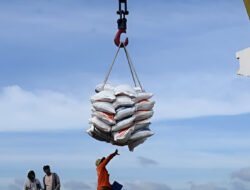 RI Stop Impor, Harga Beras Dunia Anjlok Drastis