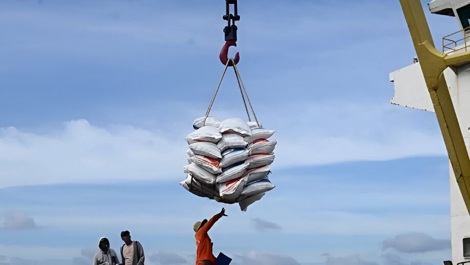 Ilustrasi - Keputusan Indonesia stop impor beras bikin harga dunia runtuh 44%. Negara maju kini berguru ke RI. (Dok. Ist)