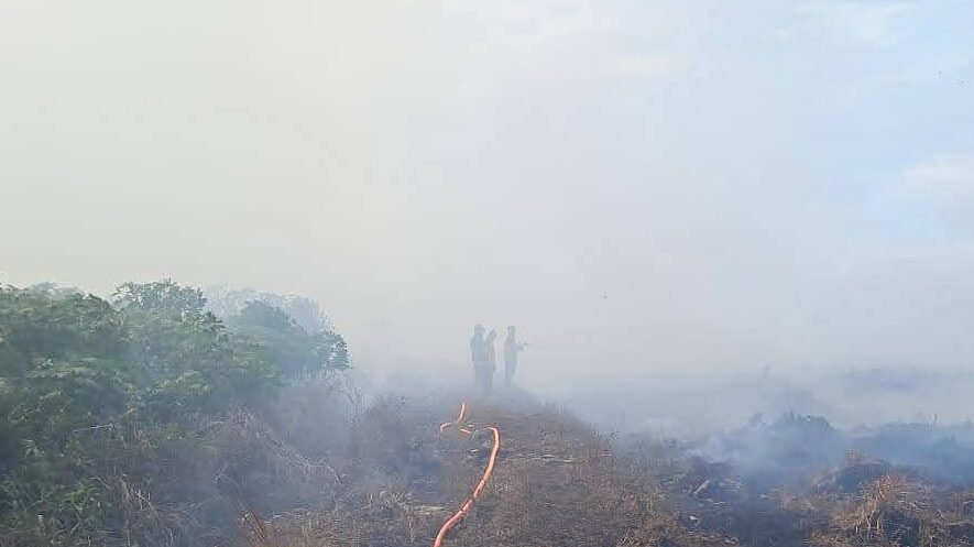 ISPU Pontianak masuk kategori sedang. Wali Kota Edi Kamtono imbau warga pakai masker dan kurangi aktivitas luar ruang akibat penurunan kualitas udara.