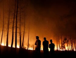 Polisi Buru Pemilik Lahan Sawit Terbakar di Sungai Raya
