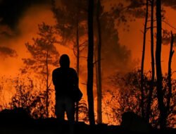 Proses Hukum Pembakar Lahan di Kubu Raya Mulai Dilakukan