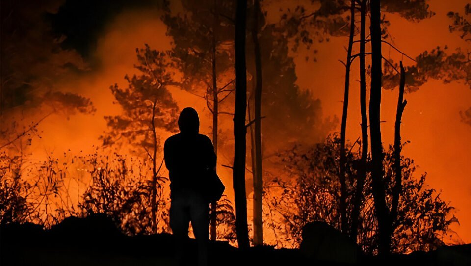 Ilustrasi - Bupati Kubu Raya Sujiwo memastikan proses hukum pembakar lahan berjalan. Polres Kubu Raya menyegel dua lokasi dan mendatangkan tim forensik. (Dok. Ist)
