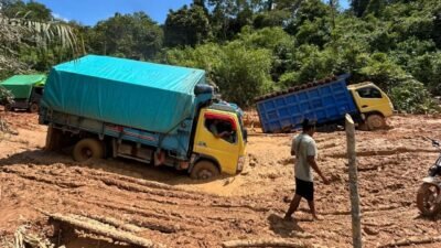 Sejumlah truk angkutan barang terjebak di jalan berlumpur yang rusak parah di wilayah pedalaman Kabupaten Ketapang. (Dok. Ist)