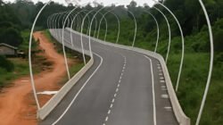 Jalan Trans Kalimantan. (Dok. Ist)