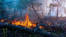 Ilustrasi - Tanpa adanya dokumen kajian bencana, Pemkab Melawi menghadapi kesulitan dalam memetakan potensi bencana secara akurat, seperti karhutla. (Dok. Ist)