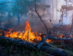 Melawi Tak Punya Kajian Bencana, Sulit Akses Dana BNPB