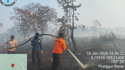 "Karhutla kembali muncul di Kubu Raya melahap lahan gambut di dua kecamatan. Tim gabungan lakukan pendinginan cegah asap ganggu Bandara Supadio."