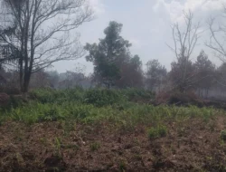 Kebakaran Lahan di Paris 2 Pontianak Disinyalir Sengaja Dibakar, Polisi Diminta Kejar Pelaku