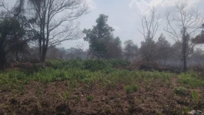 "Petugas temukan botol bensin di lokasi Karhutla Paris 2 Pontianak. DPRD desak polisi kejar pelaku pembakaran yang diduga sengaja dilakukan untuk buka lahan."