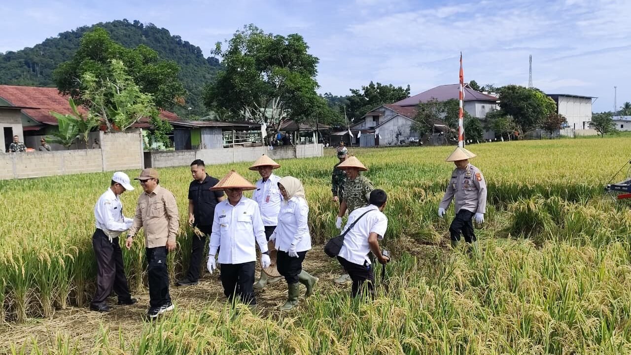 Jajaran Forkopimda Kalimantan Barat saat mengikuti kegiatan Panen Raya serentak di Kecamatan Anjongan, Kabupaten Mempawah, dalam rangka merayakan capaian swasembada pangan nasional, Rabu (7/1).