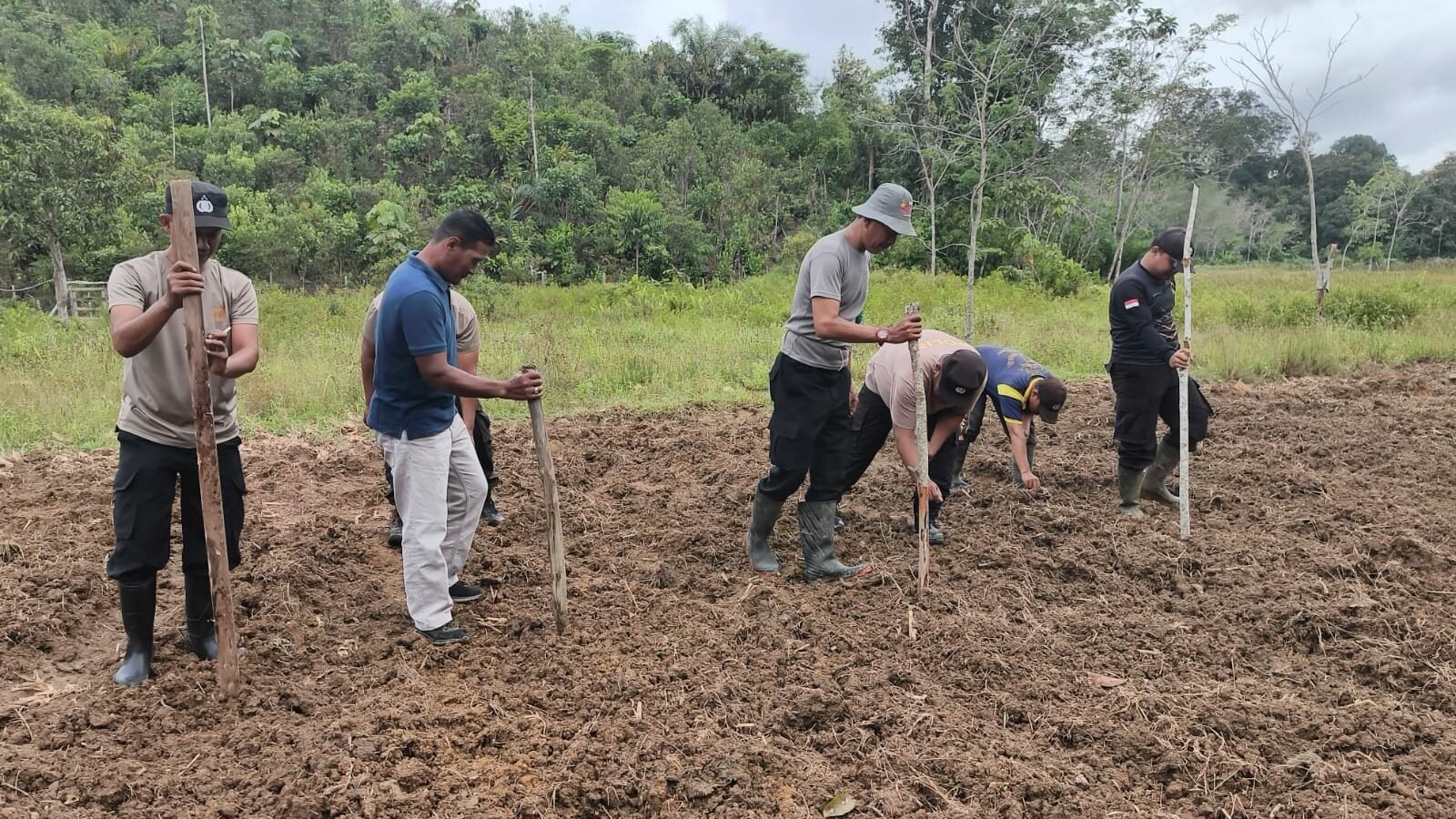 Kapolsek Kota Baru, Iptu Edi Herianto, bersama personel saat melakukan aktivitas penanaman bibit jagung hibrida di lahan demplot Desa Suka Maju, Rabu (28/1).