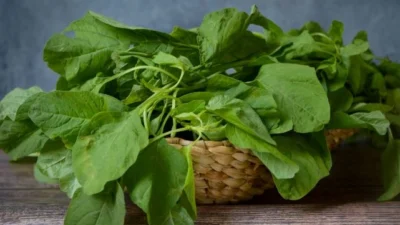 "Jangan biarkan nyeri haid menghambat aktivitas. Konsumsi bayam, ikan, hingga cokelat hitam agar tubuh perempuan tetap bugar dan bebas lemas saat datang bulan."