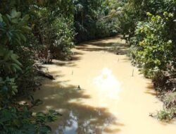 Air Sungai Keruh dan Berlumpur, Warga Desa Meranti Mengeluh Sungai Moro Behe Tercemar Limbah Dompeng