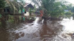 Banjir menggenangi permukiman warga di Kabupaten Sambas, Kalimantan Barat, pada Jumat (2/1), akibat meluapnya sungai Asuansang. Sumber foto: BPBD Kabupaten Sambas.