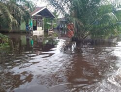 Sungai Asuansang Meluap, Banjir 1,5 Meter Rendam Ratusan Rumah di Sambas
