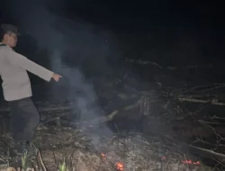 Terpantau Satelit, Titik Api di Kecamatan Toba Ternyata Aktivitas Pertanian Warga