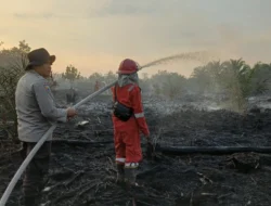 Angin Kencang Picu Api Cepat Merambat di Lahan Gambut Kayong Utara, Polisi Buru Pemilik Lahan
