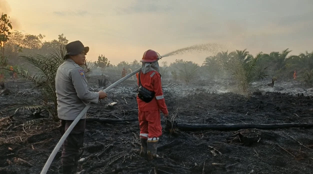 "Lahan gambut di Desa Medan Jaya, Kayong Utara terbakar hebat dipicu angin kencang. Polisi selidiki penyebab kebakaran dan buru pemilik lahan misterius."