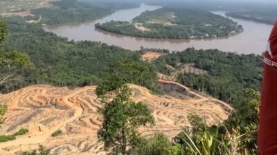 Aktivitas PT CUT di Sanggau diduga lakukan pelanggaran hukum lingkungan. Lahan 60 hektare masuk kawasan PIPPIB dan beroperasi tanpa izin resmi.