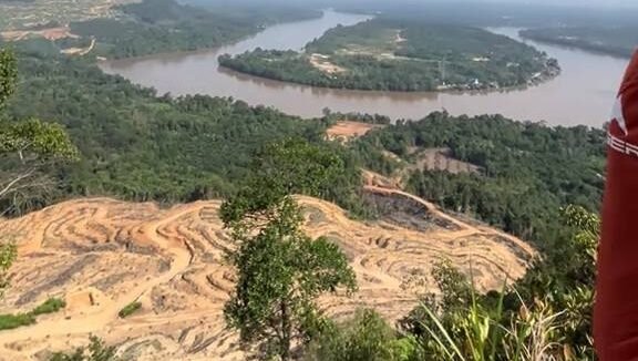 Aktivitas PT CUT di Sanggau diduga lakukan pelanggaran hukum lingkungan. Lahan 60 hektare masuk kawasan PIPPIB dan beroperasi tanpa izin resmi.