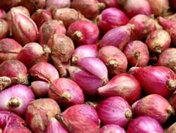Pedih di Mata, Sehat di Badan! 7 Manfaat Hebat Bawang Merah untuk Jantung hingga Obat Demam