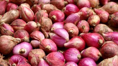 "Sering bikin menangis saat diiris, bawang merah ternyata superfood! Simak 7 manfaatnya, mulai dari turunkan demam, jaga kesehatan jantung, hingga cegah kanker."
