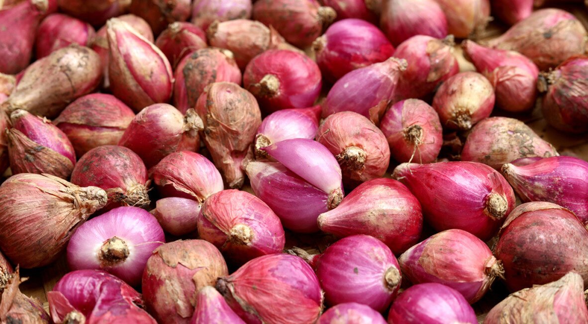 "Sering bikin menangis saat diiris, bawang merah ternyata superfood! Simak 7 manfaatnya, mulai dari turunkan demam, jaga kesehatan jantung, hingga cegah kanker."