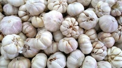 "Meski aromanya menyengat, manfaat bawang putih tak tertandingi. Ampuh turunkan kolesterol, darah tinggi, hingga detoks alami. Simak cara konsumsinya yang benar!"