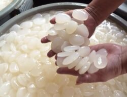 Bukan Cuma Pelengkap Takjil! Ini 7 Manfaat Ajaib Kolang-Kaling, Ampuh Usir Nyeri Sendi hingga Teman Diet