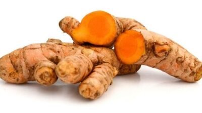 "Dari meredakan maag hingga bikin awet muda. Temukan fakta sains di balik manfaat kunyit dan senyawa kurkumin bagi tubuh Anda di sini."