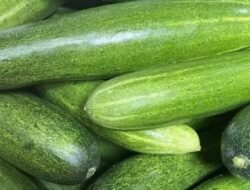 Bukan Cuma Lalapan! Ini 7 Manfaat Ajaib Timun untuk Kecantikan Wajah dan Kulit Glowing