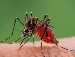 Waspada Penyakit Musim Hujan, Lakukan 4 Hal Ini!