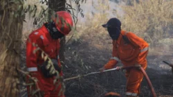 "Petugas BPDB Kota Pontianak dan relawan berjibaku memadamkan api di lokasi lahan yang terbakar."