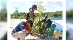 Anggota Resor KSDA Wilayah Mandor sedang melakukan perawatan tanaman demplot di lahan berpasir bekas tambang kawasan Cagar Alam Mandor. (Dok. HO/Faktakalbar.id)