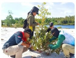 Pulihkan Ekosistem Bekas Tambang Ilegal, KSDA Mandor Pakai Metode Botol Air di Musim Kemarau