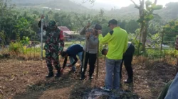 "Penanaman jagung kuartal III dimulai di Desa Sungai Toman, Kabupaten Sambas. Langkah ini diambil untuk memperkuat produksi pangan lokal dan kesejahteraan petani."