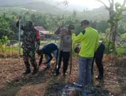 Perkuat Pasokan Pangan, Penanaman Jagung Kuartal III Dimulai di Sungai Toman