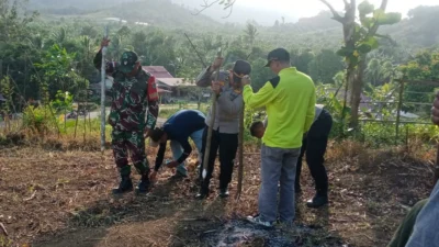 "Penanaman jagung kuartal III dimulai di Desa Sungai Toman, Kabupaten Sambas. Langkah ini diambil untuk memperkuat produksi pangan lokal dan kesejahteraan petani."