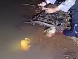 Warga Sanggau Temukan Bayi di Sungai Semboja Indah 2
