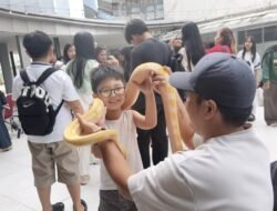 Edukasi Sambil Rekreasi, Komunitas Independent Exotic Pets Pamerkan Satwa Eksotik di Mal Gaia