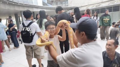 Antusiasme pengunjung Mal Gaia saat berinteraksi langsung dengan berbagai jenis hewan unik yang dibawa oleh komunitas Independent Exotic Pets di pelataran D’Clony, Minggu (18/1).