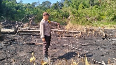 Petugas Polsek Meliau saat meninjau lokasi lahan warga yang terdeteksi sebagai titik panas guna memastikan api tidak meluas, Sabtu (24/1).