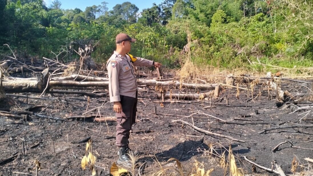 Petugas Polsek Meliau saat meninjau lokasi lahan warga yang terdeteksi sebagai titik panas guna memastikan api tidak meluas, Sabtu (24/1).