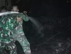 Nyaris Sambar Rumah Warga, Prajurit Denmadam XII/Tpr Padamkan Karhutla di Pontianak Tenggara