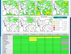 Prakiraan Cuaca Kalimantan Barat Senin 12 Januari 2026: Potensi Hujan Ringan Merata di 14 Wilayah