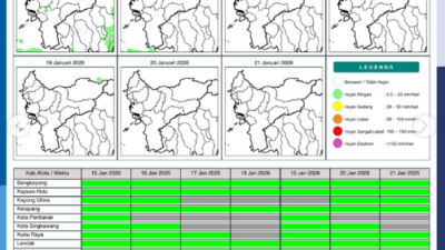 Infografis prakiraan potensi hujan harian di wilayah Kalimantan Barat periode 15-21 Januari 2026 yang menunjukkan dominasi hujan ringan pada awal pekan dan kondisi berawan menjelang akhir pekan.