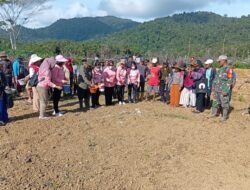 Kejar Percepatan Masa Tanam, Petani Sai Bening Sambas Mulai Semai Benih Padi